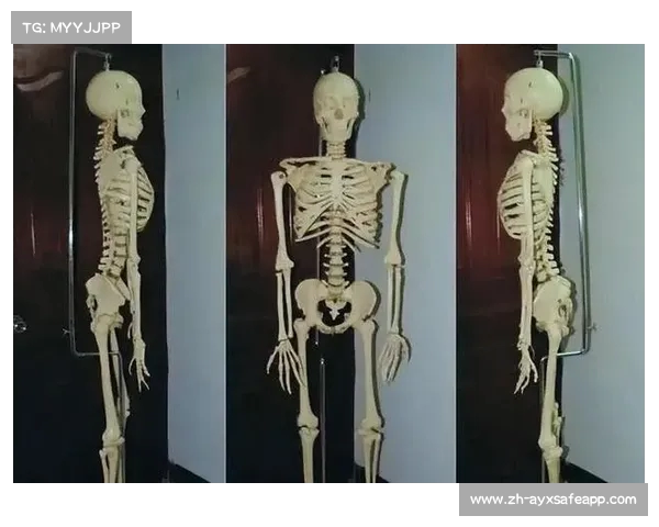 中国人缺少的两块骨头:人体解剖的独特差异 中国人缺少的两块骨头:人体解剖的独特差异